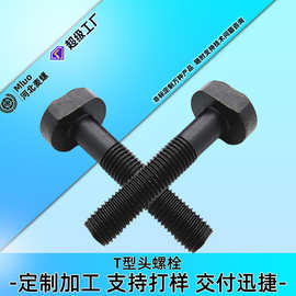 8.8級(jí)t型螺栓