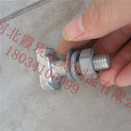 河北霞現金屬制品公司生產玻璃幕墻t型螺栓