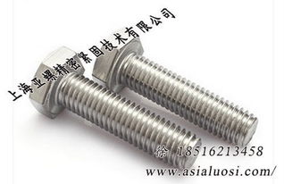 奧氏體不銹鋼0cr23ni13外六角螺栓gb5783